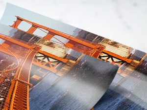 Posters (Large Format)